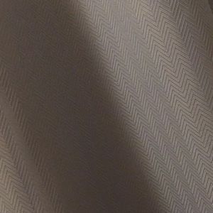 Meet your Posher, Rose